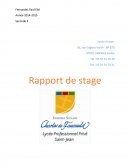 Exemple raport type de stage