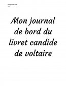 Journal de bord du livret Candide de Voltaire