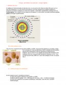 Virologie : généralités et cas particulier ; virologie végétale