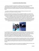 Captivité des mammifères marins
