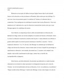 Rhinocéros - Dissertation