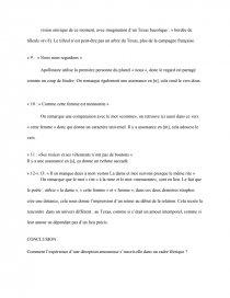 Explication Lineaire Annie Commentaire De Texte Marie B