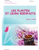 Les plantes et leurs bienfaits