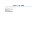 Rapport de Stage Marsa Maroc Rapport de Stage Marsa Maroc