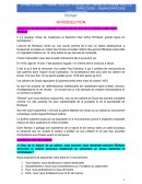 Roman de Rimbaud Roman de Rimbaud