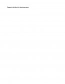 Compte rendu business game gestion d'entreprise Compte rendu business game gestion d'entreprise