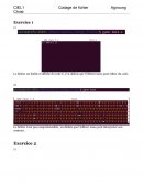 Codage de fichier Codage de fichier