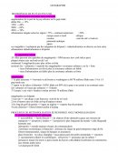 Des métropoles de plus en plus nombreuses Des métropoles de plus en plus nombreuses