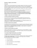 L’hygiène en soins infirmiers L’hygiène en soins infirmiers